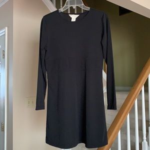 Express Long Sleeve Dress